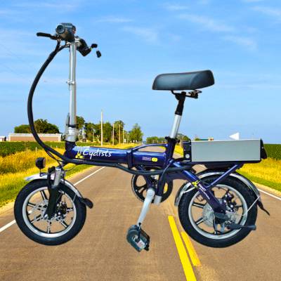 深圳14寸代驾电动车厂家直销 批发代理价格与市场机遇分析