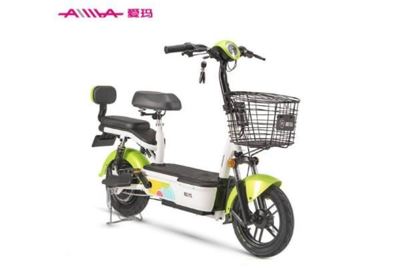 电动自行车行业十大知名品牌 第二销量领跑，第一率先上市